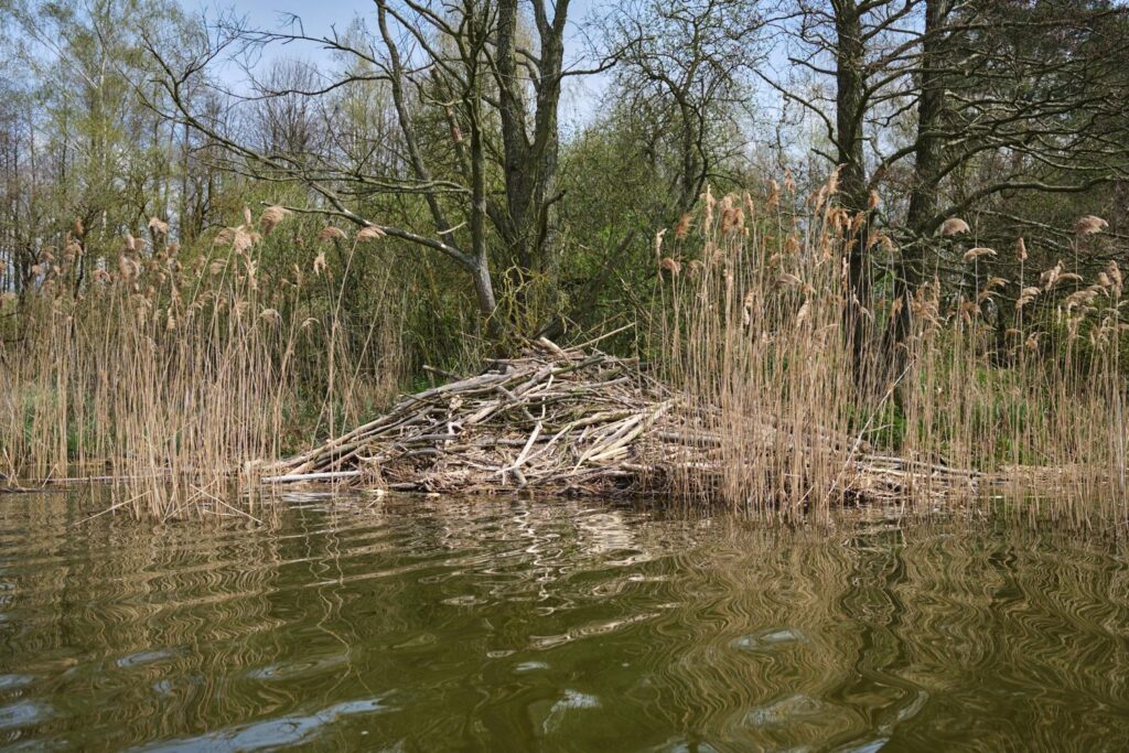 jezioro (35)