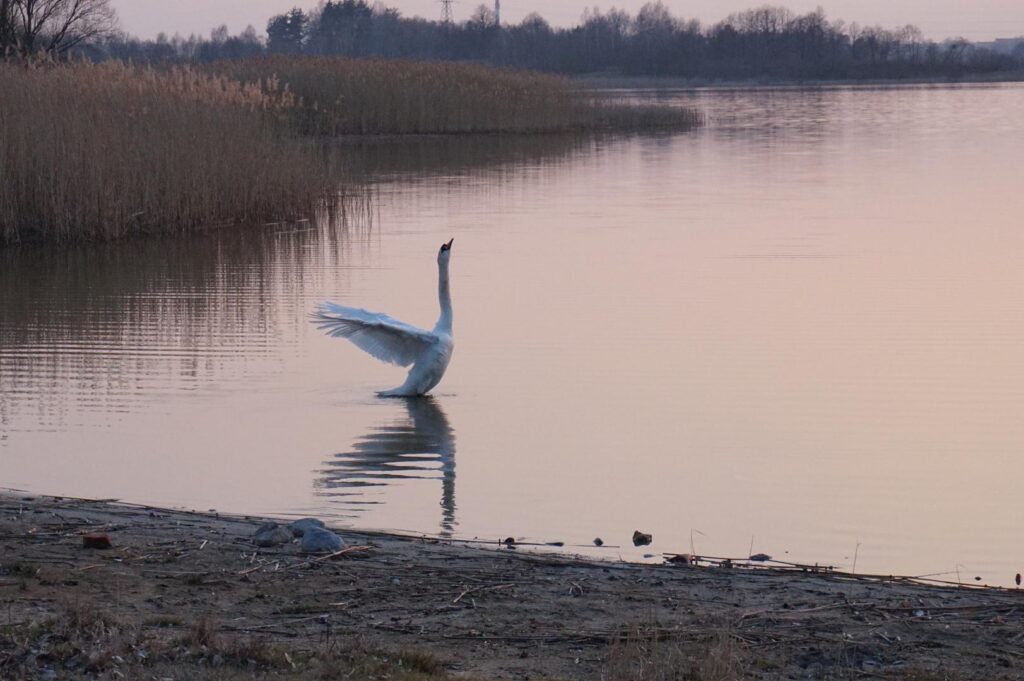 jezioro (38)