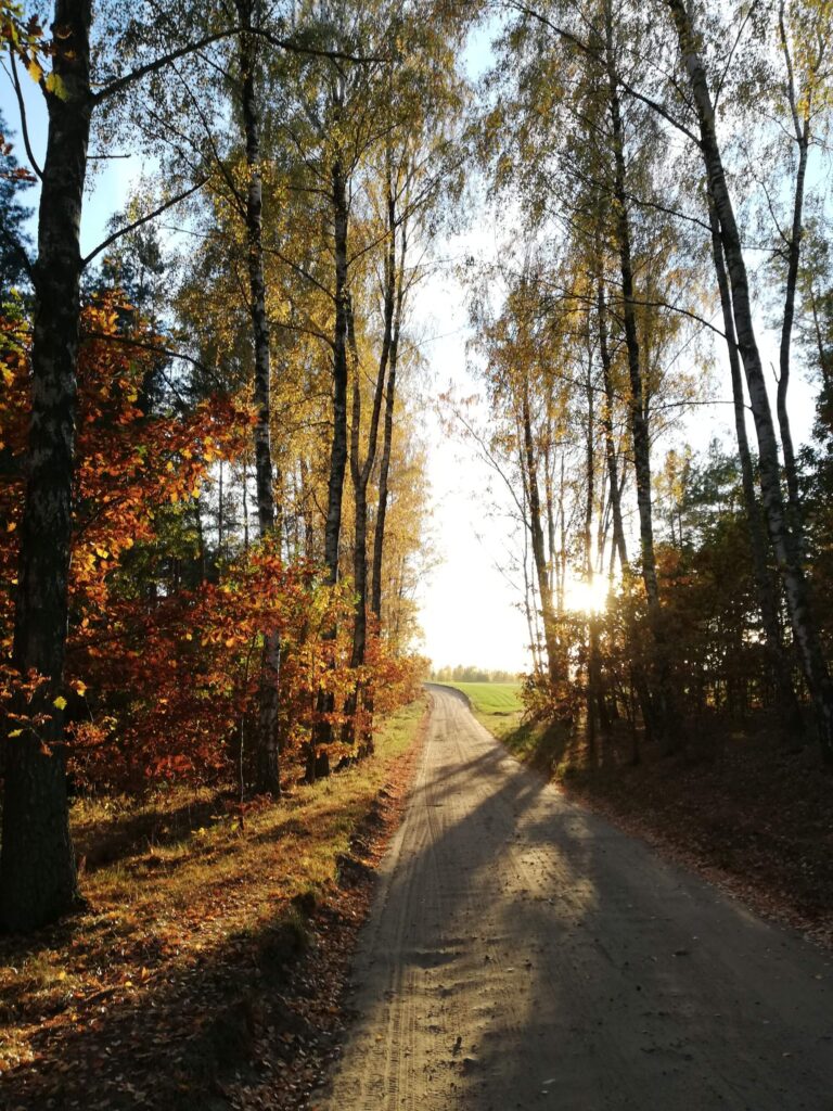 okolica (26)