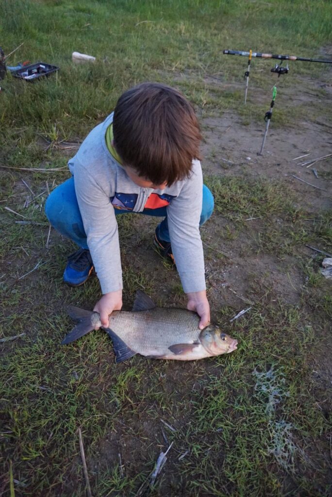 ryby i grzyby (3)